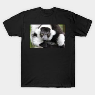 I'm Watching You, Watching Me T-Shirt